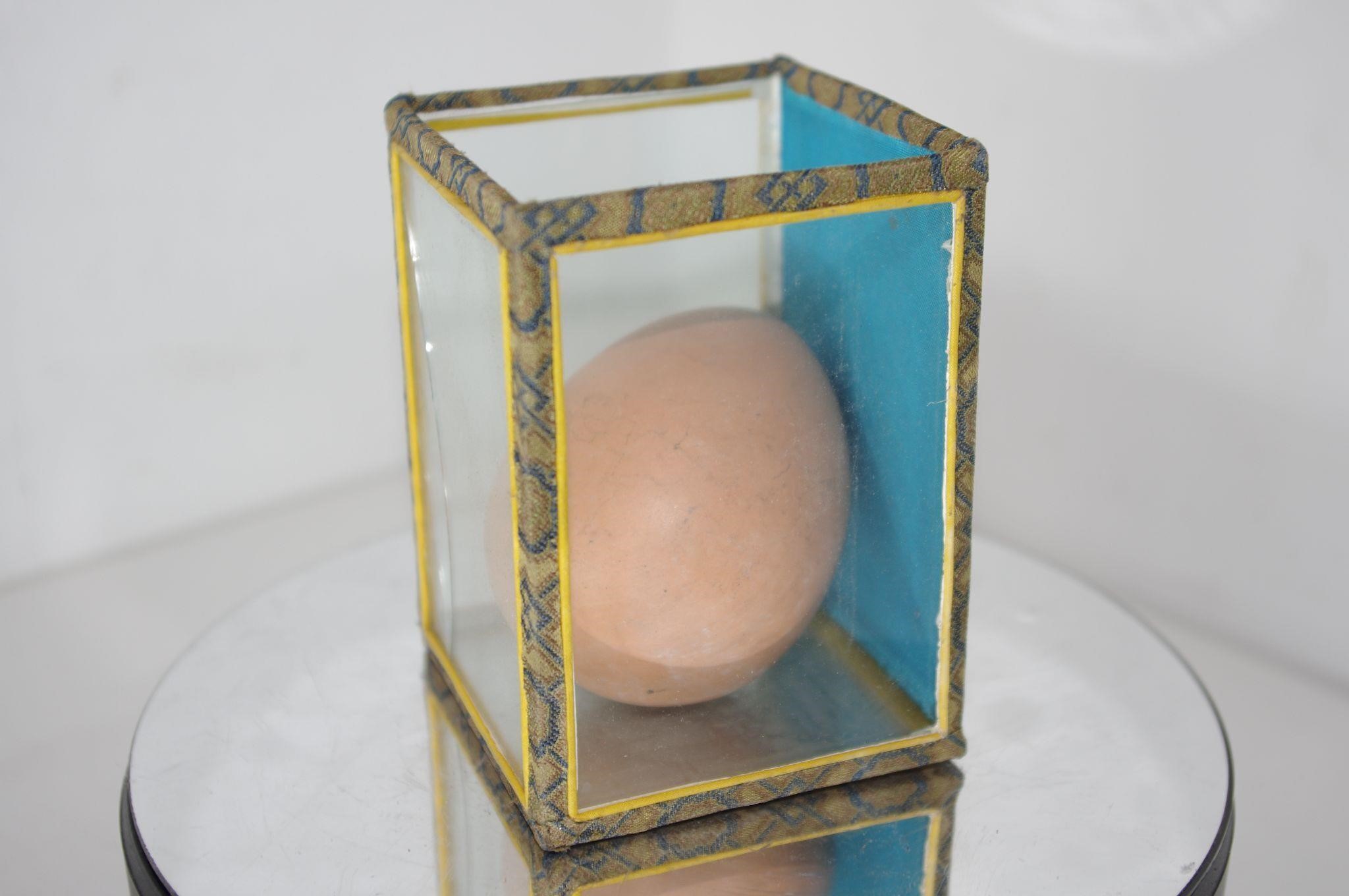 skin tone display egg