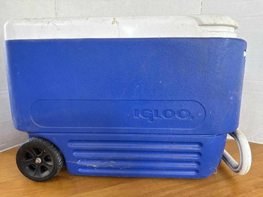 Igloo cooler (blue)