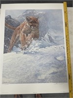 "COUGAR RUN" J SEERY-LESTER  SIGNED NUMBERED PRIN