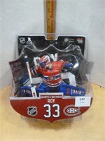 NEW NHL Limited Edition Roy 33