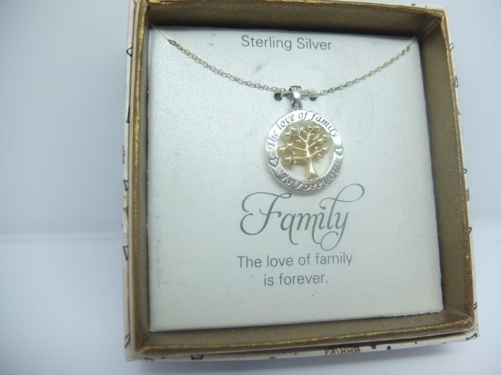 Sterling Silver FAMILY pendant & Chain set