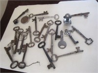 Collection of Skeleton Keys