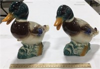 2 Royal Windsor ducks