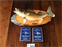 TAXIDERMY MOUNTED FISH, PLAQUES