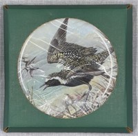 Water Birds of the World Plate Set