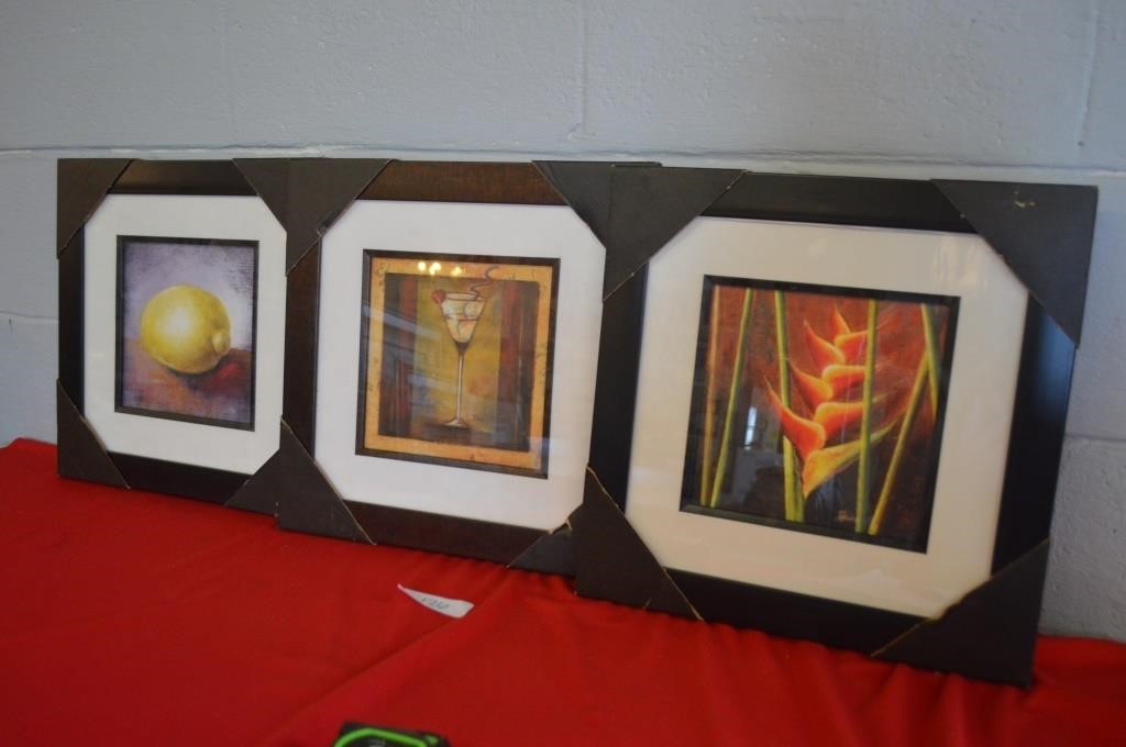 Lot of 3 12 X 12 Framed Pictures