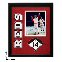 Pete Rose Cincinnati Reds 20x16 Framed signed GFA