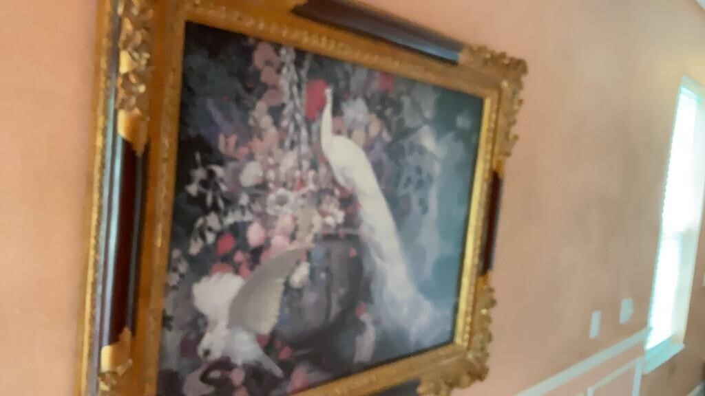 Lg. Framed Print of White Peacock