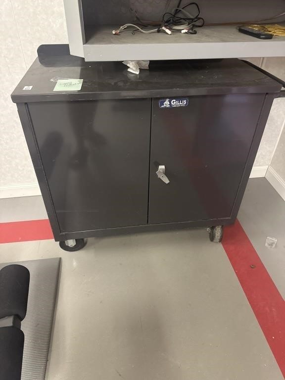 Metal cabinet on wheels