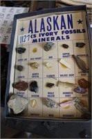 ALASKAN IVORY FOSSILS AND MINERALS
