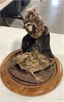 Stuffed Pheasant Decor Piece