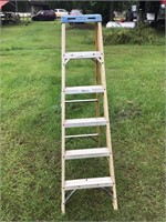 Werner 6 ft ladder