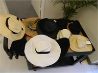 Hats Lot