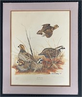 Vtg Litho Lmt Edt Gene Gray Bob White Quail