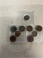 (9) Indian head pennies