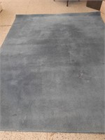 Blue Area Rug with Under Padding