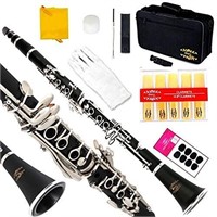 Glory B Flat Clarinet with Second Barrel