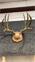 5X8 MULEY RACK ON PLAQUE