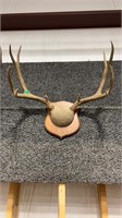 5X5 MULEY RACK ON PLAQUE