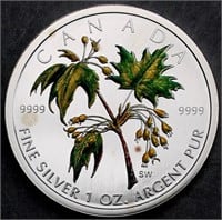 Canada $5 Colored Silver Maple Leaf 2003 Summer