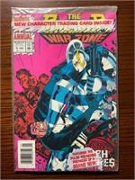 Marvel Comics Punisher War Zone Annual #1