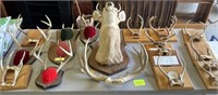 deer horn collection