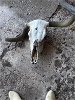 18” skull ( in carport).