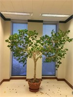 Reception Tree