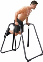 EXERCISE DIPSTAND