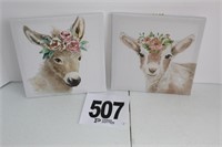 Baby Goat & Donkey Pictures (U242A)