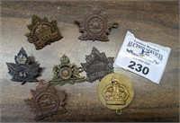 Variety of Military Badges/pins