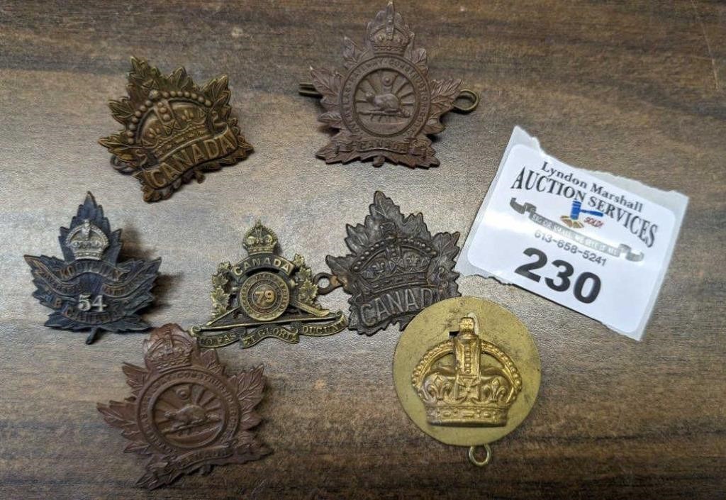 Variety of Military Badges/pins