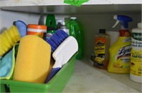 Contents of Shelf, Car Wash Items