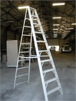 10 Ft Werner Aluminum Step Ladder