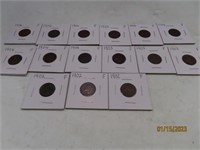 (15) early1900s Indian Head Pennies asst