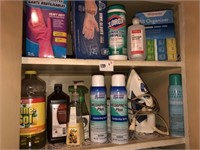 Cleaning & Misc Supplies (Hall Closet)