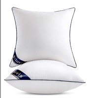 Siluvia 18"x18" Pillow Inserts Set of 2