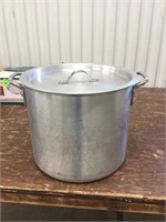 Large stainless steel pot with lid