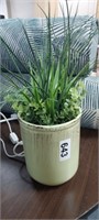 DECORATIVE GREENERY IN POT