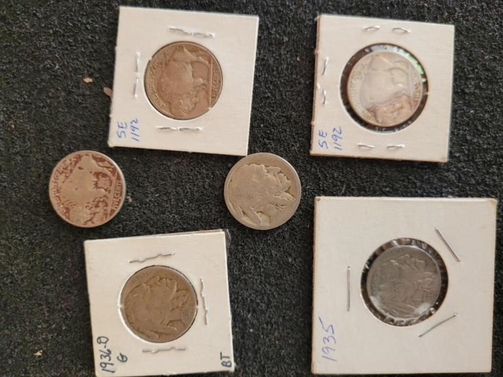 Assorted  Buffalo Nickels