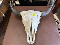 Buffalo Skull