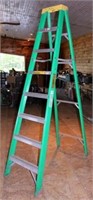 [CH] Duke 8ft Fiberglass Ladder