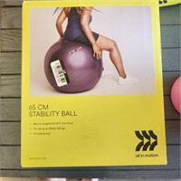 Stability Ball 65cm Purple - All in Motion™