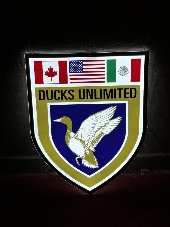 FIREARMS, DUCKS UNLIMITED DECOYS & PRINTS, AMMO, & MORE