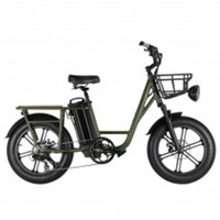 Fiido T1 Utility Electric Bike