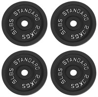 Signature Fitness Cast Iron Plate Weight Plate for