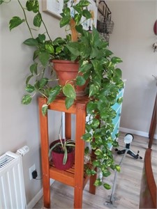 2 plants, plant stand
