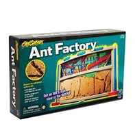 Geosafari Ant Factory.