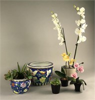 Ceramic Pots with Faux Plants
