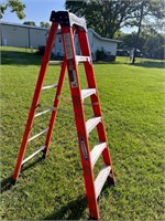 WERNER 6' FIBERGLASS LADDER